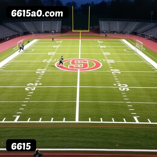 6615 bônus R$5.000 + 500 giros - Rollover 35x, prazo 30 dias, 38% taxa conversão